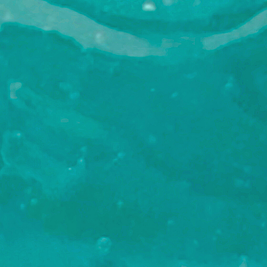 LoVorne Co. Ocean Jelly Hydrating Face Mask