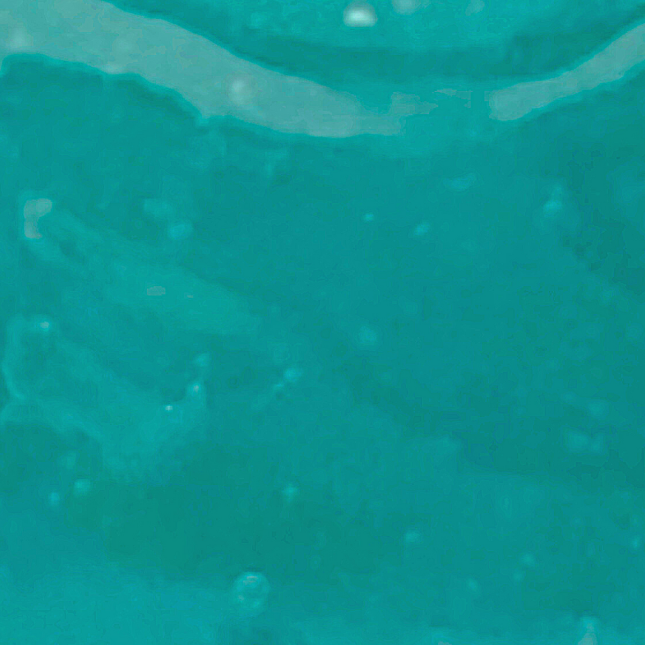 LoVorne Co. Ocean Jelly Hydrating Face Mask